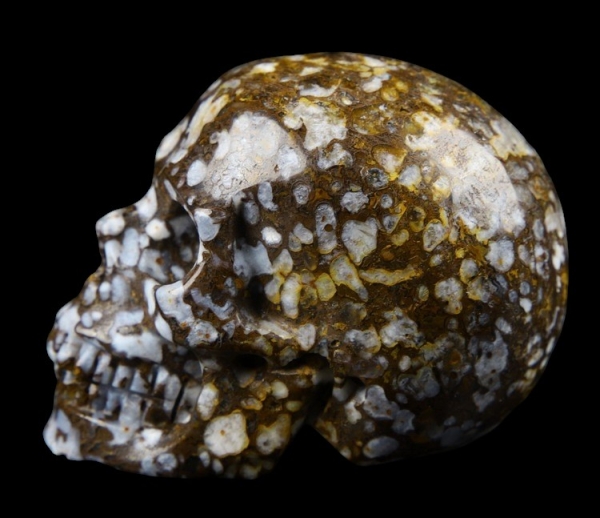 Skull Coffee Opal